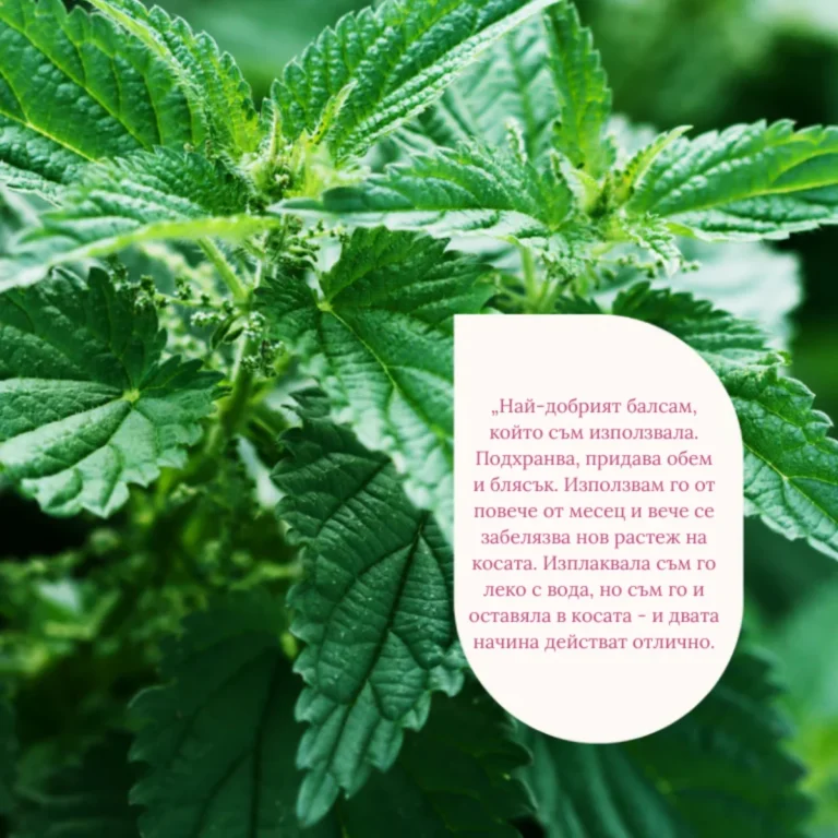 Flow Cosmetics Wild Nettle Hair Rinse – натурален билков оцет за изплакване на коса с коприва за растеж