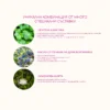 Flow Bilberry & Centella Cream – Балансиращ крем за лице с Боровинка и Центела