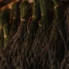 Nordic Lavendel Hämarik – Лавандулов спрей за сън и релаксация